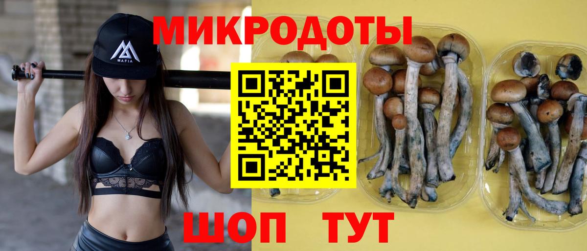 как найти закладки  Галлюциногенные грибы мицелий  Хасавюрт  Вход с VPN  Галлюциногенные грибы прущие грибы 